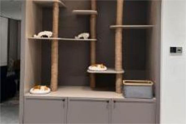 Hvorfor PET-materiale er det bedste til Pet Space Cabinet?